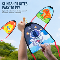 Thumbnail for Handheld Kite – Na świeżym powietrzu i aktywnie – latawiec dla dzieci