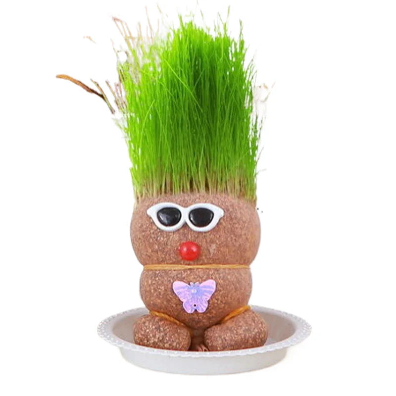 Figure Plants™ - Roślinki ozdobne - Figurki roślinne ogródek DIY