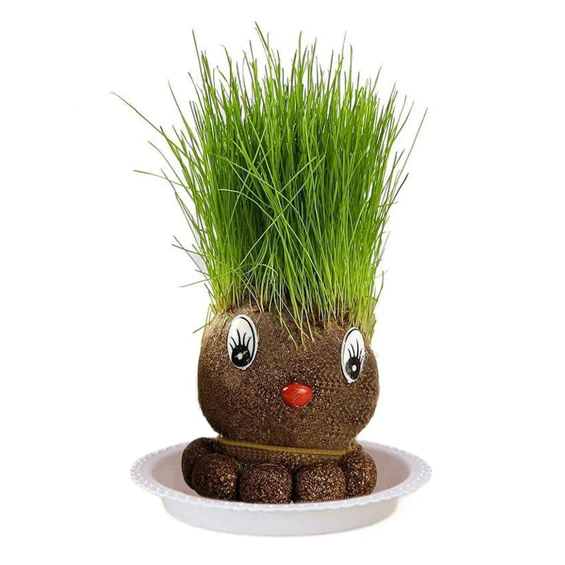 Figure Plants™ - Roślinki ozdobne - Figurki roślinne ogródek DIY