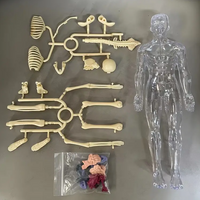 Thumbnail for Human Anatomy – Nauka i odkrywanie – zestaw do budowy modelu ludzkiego ciała