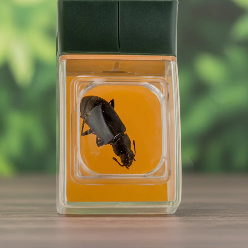 Bug Catcher with Magnifier – Odkrywanie i nauka – Łapacz owadów