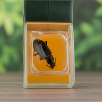 Thumbnail for Bug Catcher with Magnifier – Odkrywanie i nauka – Łapacz owadów