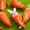 Personalized Bunny – idealny prezent wielkanocny – pluszowy królik z imieniem