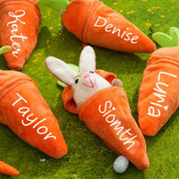 Thumbnail for Personalized Bunny – idealny prezent wielkanocny – pluszowy królik z imieniem