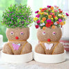Figure Plants™ - Roślinki ozdobne - Figurki roślinne ogródek DIY