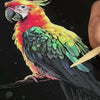 GlowArt – Glow-in-the-dark – zestaw kart zdrapek