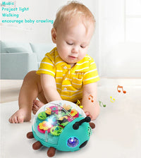 Thumbnail for Music Beetle Toy™ - Żuk sensoryczny - Zabawka edukacyjna