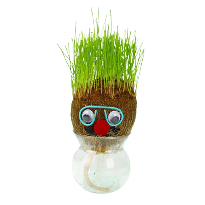 Figure Plants™ - Roślinki ozdobne - Figurki roślinne ogródek DIY